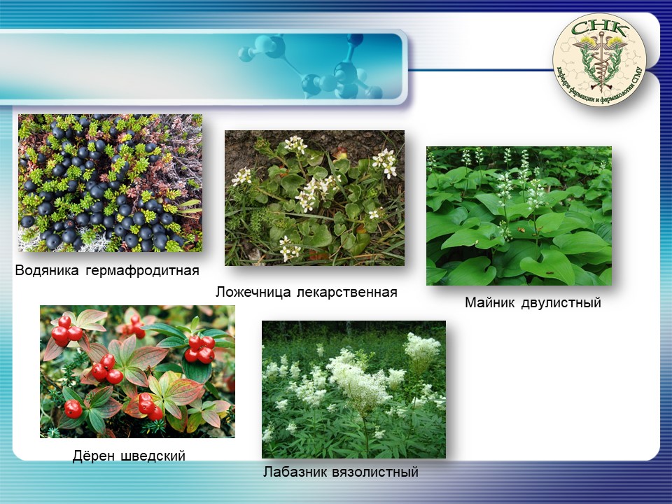 http://www.nsmu.ru/student/faculty/department/farm/Science/SNO/Presentation-introdaction/Слайд12.JPG