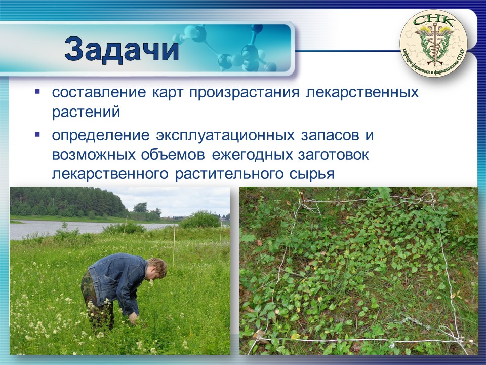 http://www.nsmu.ru/student/faculty/department/farm/Science/SNO/Presentation-introdaction/Слайд8.JPG