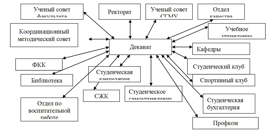Организационная структура университета синергия схема